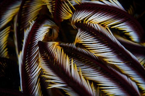 Untitled — underwater photo from Abstract