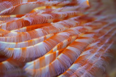 Surge — underwater photo from Abstract