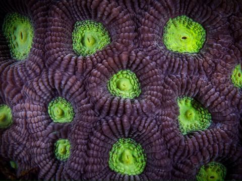 Untitled — underwater photo from Abstract