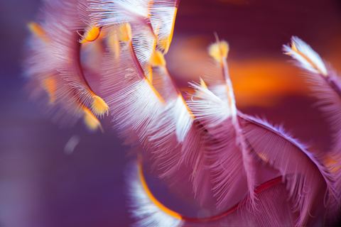 Untitled — underwater photo from Abstract